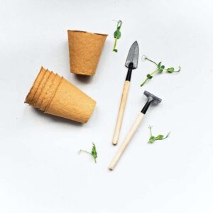 Seed Starting Kit